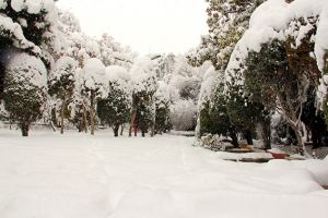 یک روز برفی در مرکز قلب و عروق شهید رجایی: عکس شماره 12 / 12